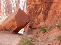 2019-06-13_11-22-22_00020