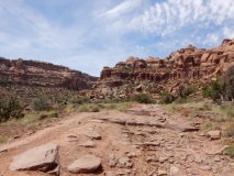 2019-06-13_13-43-43_00049