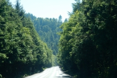 2016-08-01_15-47-31_00070