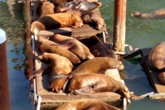 2016-08-01_17-56-02_00006