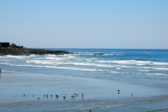 2016-08-02_16-09-32_00123