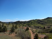 2019-06-08_11-38-50_00016