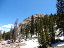 2019-06-08_14-06-21_00096