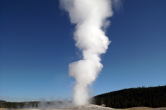 Old Faithful