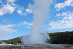 Old Faithful
