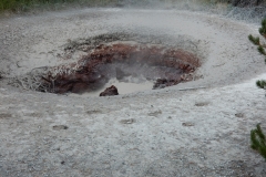 2016-08-12_12-14-34_00041