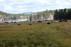 2016-08-12_13-29-31_00090