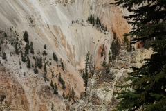 2016-08-12_14-00-53_00105