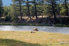 2016-08-14_10-29-04_00001