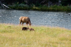 2016-08-14_10-29-15_00002