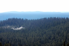 2016-08-14_11-33-47_00011