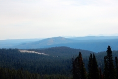 2016-08-14_11-34-12_00012