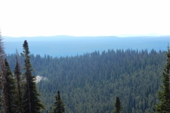 2016-08-14_11-35-17_00013