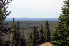 2016-08-14_11-35-31_00015