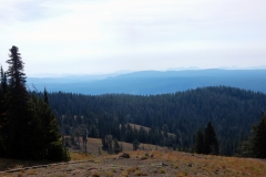 2016-08-14_11-39-57_00016