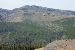 2016-08-14_11-51-22_00020