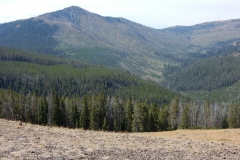 2016-08-14_11-51-42_00021