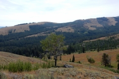 2016-08-14_12-23-53_00022