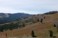 2016-08-14_12-23-58_00023