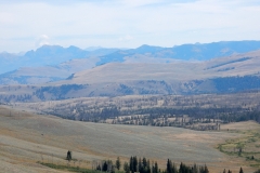 2016-08-14_12-25-01_00028