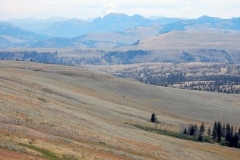 2016-08-14_12-25-06_00029