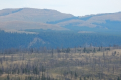 2016-08-14_12-28-07_00041