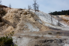 2016-08-14_13-41-14_00074