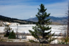 2016-08-14_13-48-18_00082