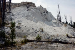 2016-08-14_13-52-42_00087