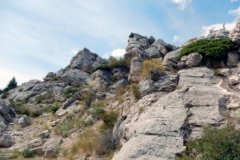 2016-08-14_14-07-02_00098