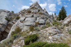 2016-08-14_14-07-21_00100