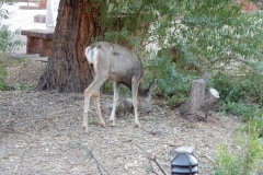 2016-08-26_09-10-11_00004