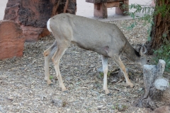 2016-08-26_09-10-39_00005