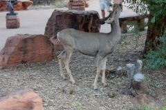 2016-08-26_09-11-04_00006