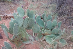 2016-08-26_09-52-26_00014