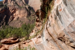 2016-08-26_10-39-52_00025