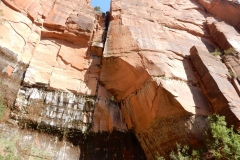 2016-08-26_11-16-07_00041