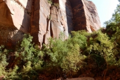 2016-08-26_11-18-07_00042