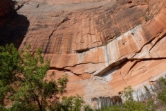 2016-08-26_11-19-07_00045