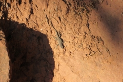 2016-08-26_11-33-14_00053