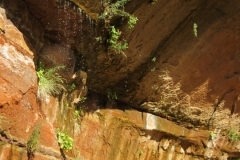 2016-08-26_11-39-11_00055