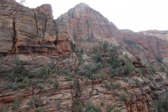 2016-08-26_16-11-12_00094