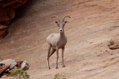 2016-08-26_16-13-48_00098