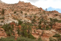 2016-08-26_16-36-47_00108