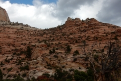 2016-08-26_16-39-29_00113