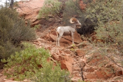 2016-08-26_17-15-12_00120