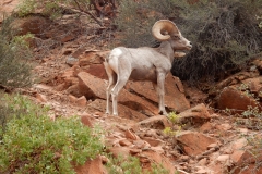 2016-08-26_17-15-22_00121