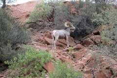 2016-08-26_18-17-47_00131